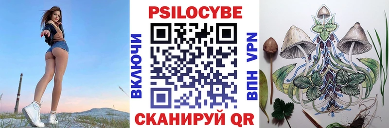 Купить закладки  Малая Вишера  Псилоцибиновые грибы Magic Shrooms 